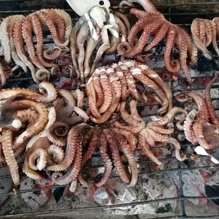 Starter